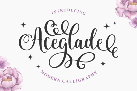 Aceglade: A Magical Script Font for Business
