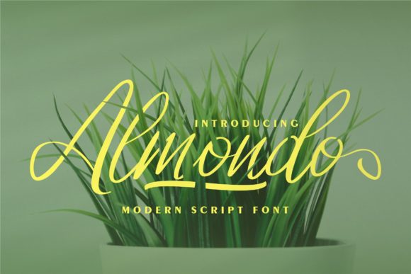 Almondo: Modern Script Font