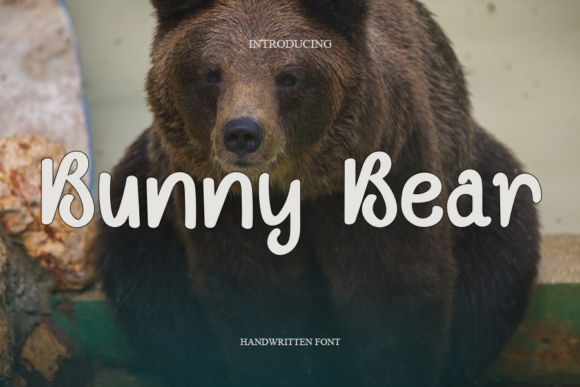 Bunny Bear Font for Creative Design