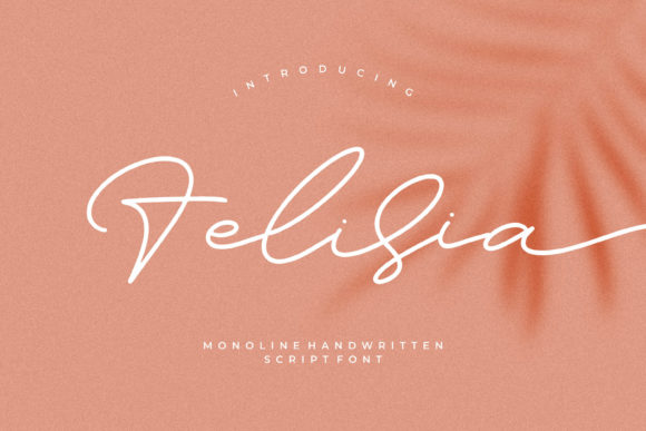Felisia Font for Creative Makers